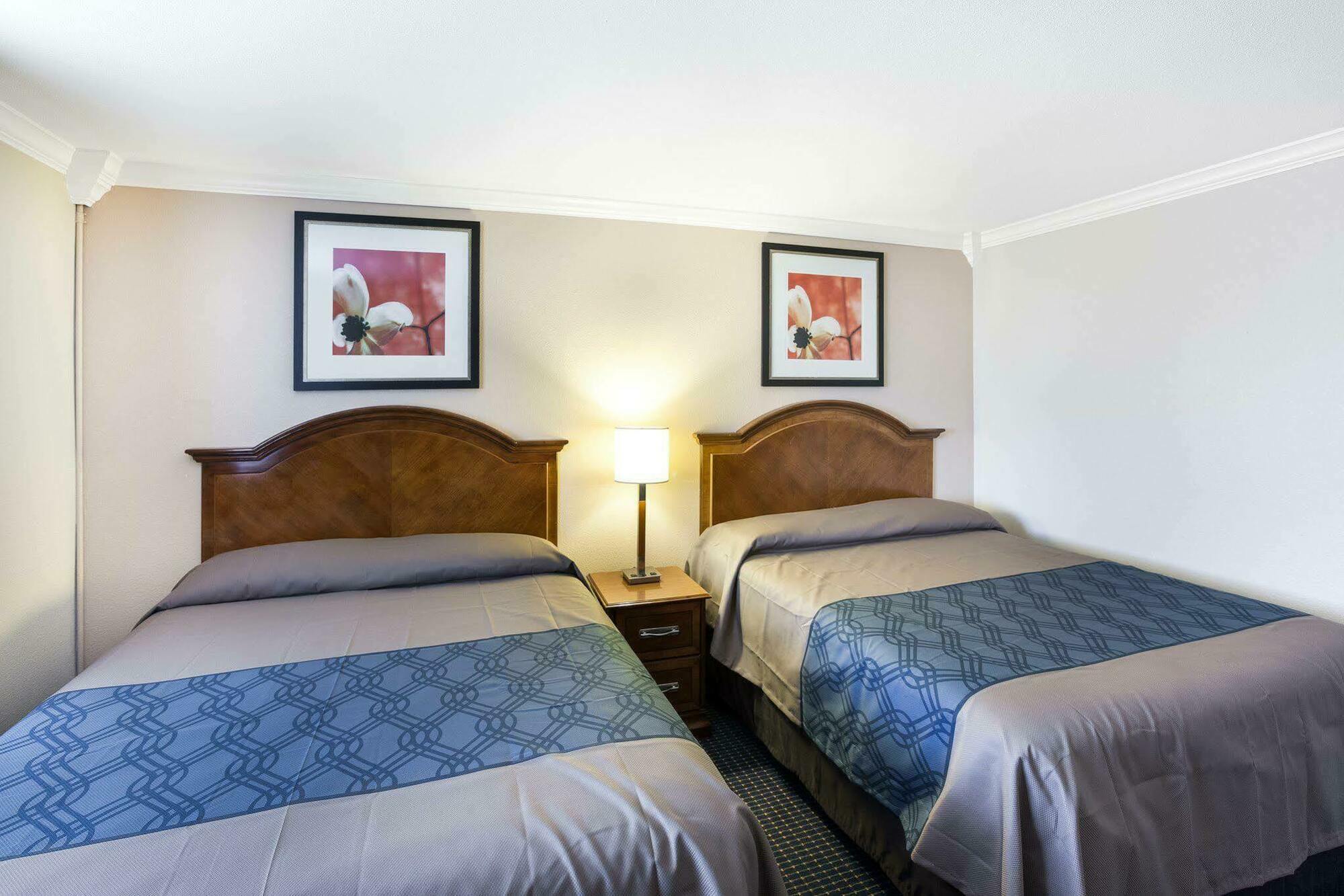University Inn & Suites San Antonio Eksteriør billede